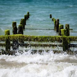 008   Reportage   Oleron 2010   Franck Rondot P