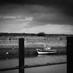 013   Reportage   Oleron 2010   Franck Rondot P