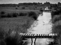 018   Reportage   Oleron 2010   Franck Rondot P