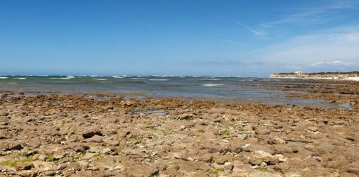 019   Reportage   Oleron 2010   Franck Rondot P