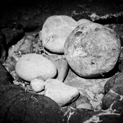 020   Reportage   Oleron 2010   Franck Rondot P