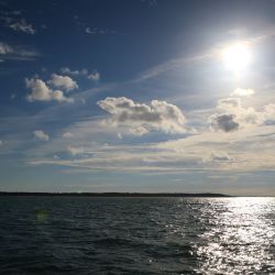 046   Reportage   Oleron 2010   Franck Rondot P