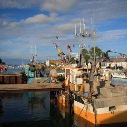 048   Reportage   Oleron 2010   Franck Rondot P