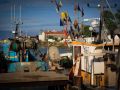 049   Reportage   Oleron 2010   Franck Rondot P