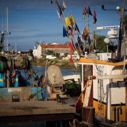 049   Reportage   Oleron 2010   Franck Rondot P