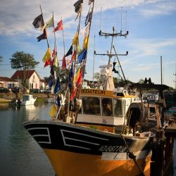 050   Reportage   Oleron 2010   Franck Rondot P