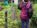 029   Reportage   Balade urbaine   Franck Rondo