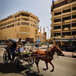 051   Reportage   Egypte 2011   Franck Rondot P